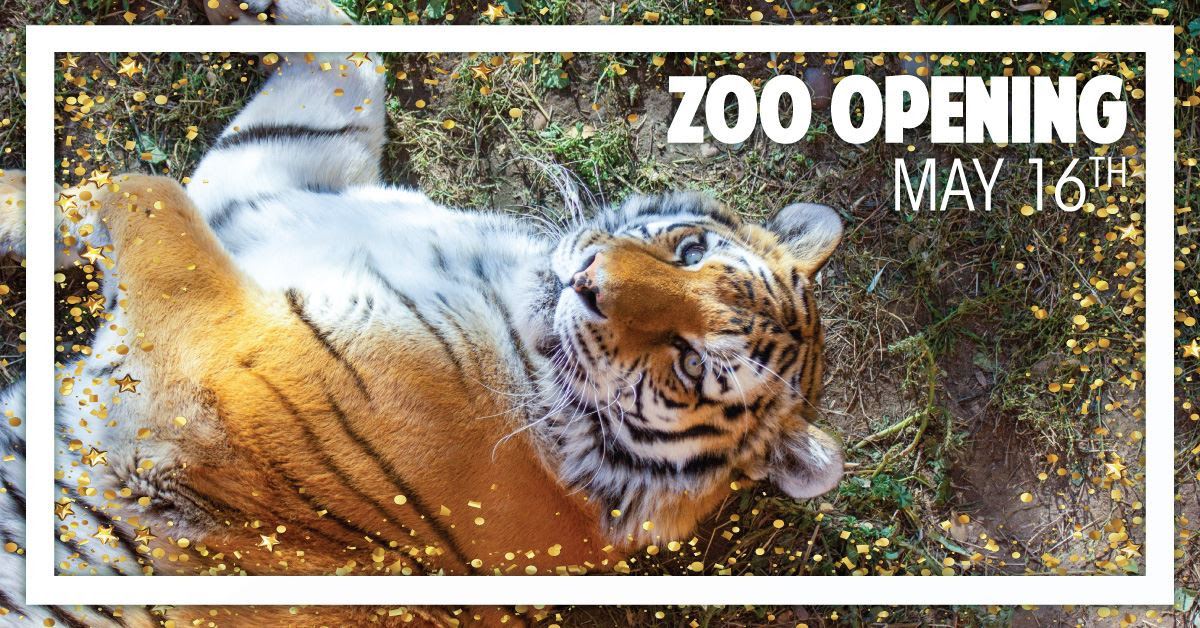 Zoo Opening May 16